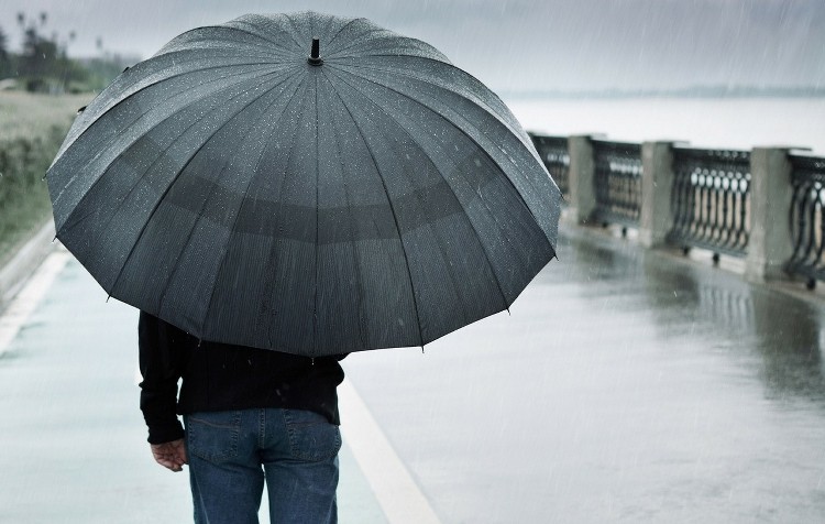 臺灣社會進入獨居時代 平均每5戶1獨居 臺灣社會進入獨居時代 平均每5戶1獨居