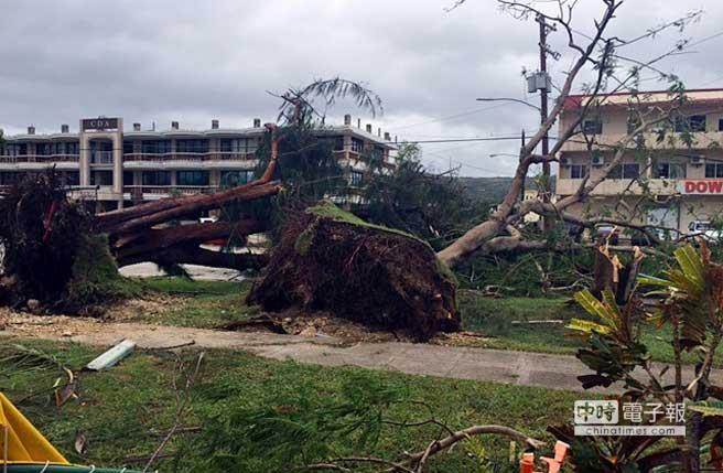 大樹(shù)都被連根拔起。(臺(tái)媒翻拍美聯(lián)社) 大樹(shù)都被連根拔起。(臺(tái)媒翻拍美聯(lián)社)
