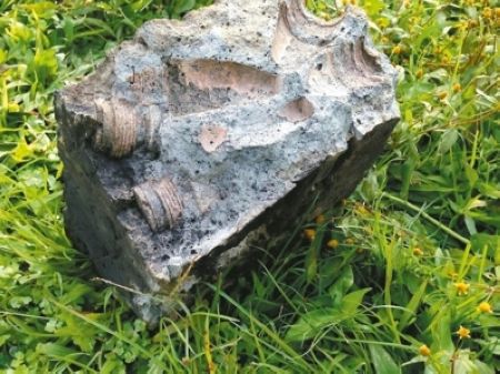 �����r����ʯ��t����ʯ�K�в؏�ˎ�^����ը