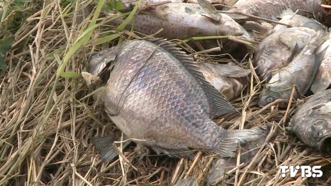 ���������д� �_�����������fβ�I�ߓpʧ�K��