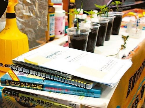 ���ӡ��ù��^�^���I���@�Ј@ˇ����N���飨�D��