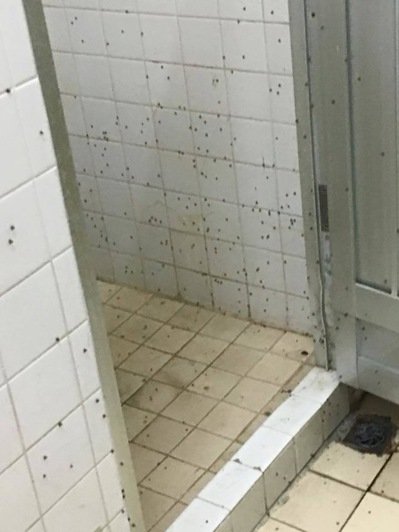 ��WŮ��ԡ�����M�x �W��������������ϴ�裨�D��