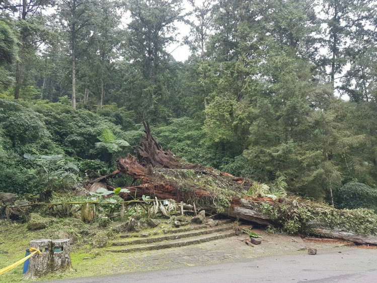 �_��һ��ǧ��Ř����⵹�� �҂�3���ο�