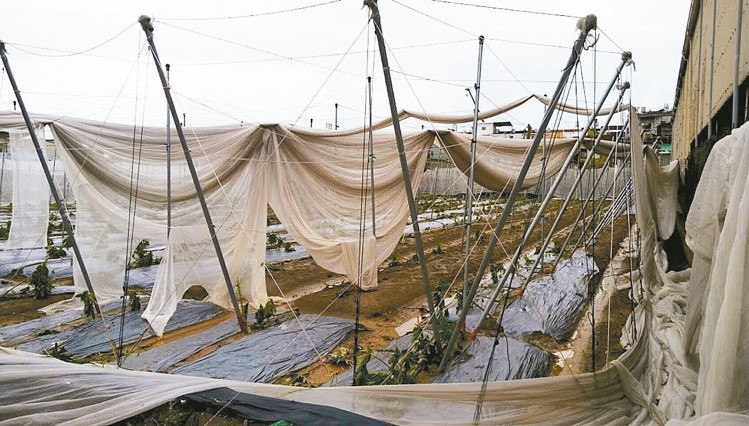 ���|�h���r��Щ�W���ϴ��_�L���ƣ��@���ֱ���