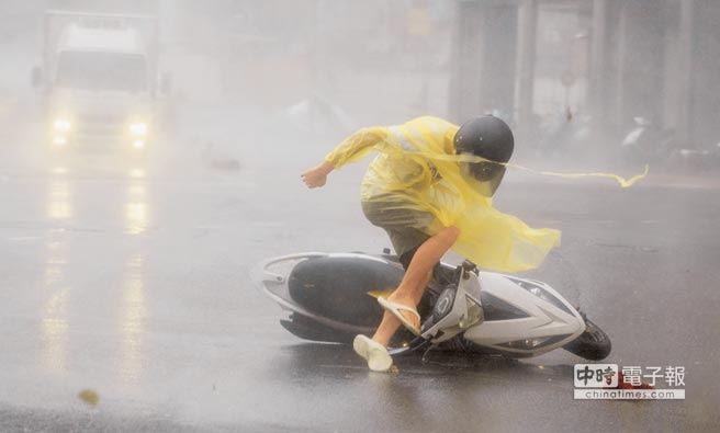 �_�L�����~�����_ ȫ�_4��316�����D��