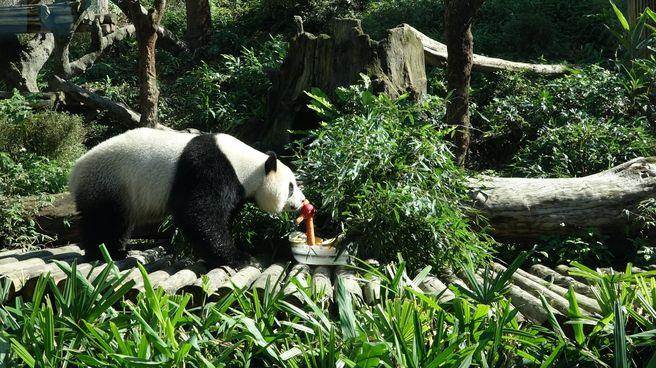 ���A�С������ز͵��ز����O�������}�������ѡ��C�C�^�����~��