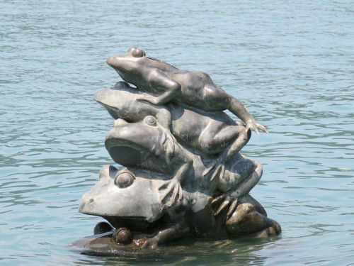 �����ܡ�������̶ˮλ�ĸ߶�Ӌ��2��6��¶����4ֻ�롱���@ʾ��Ч��ˮ��߀���ھųɡ��_����(li��n)�ψ�ӛ�ߺ��������zӰ