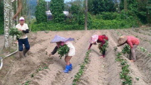 �r(n��ng)��@�������꣬Ӱ���ɽ�عϴ���ʣ�������ֻ���aֲ���_����(li��n)�ψ�ӛ�ߺ��������zӰ