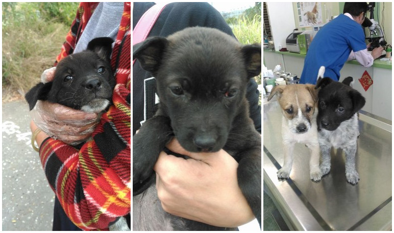 ���۬F(xi��n)׃�B(t��i)Ű��������Ȯ���������л�����