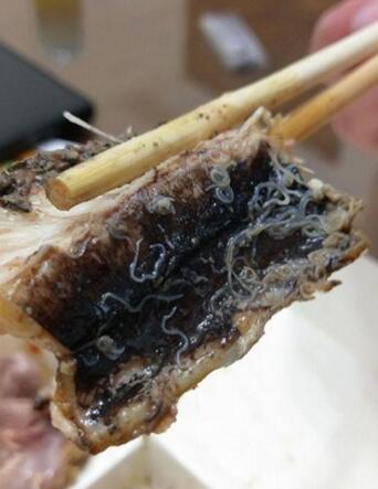 ��Ԫ�~�Ǻ���_���M�M�����x�� �W�ѣ���ʬĩ��