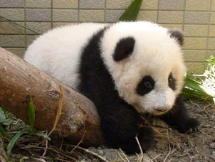 �A�о�����ײ�Ϙ�� �_�W������Ҫ�o��������.jpg