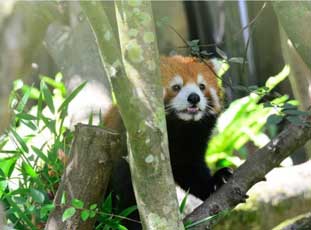 ����С��؈�g�g�_(t��i)������ ��̎����ƨ�ɡ��u��