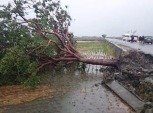 ���@���_�|���Ğ��顱 �����䵹��