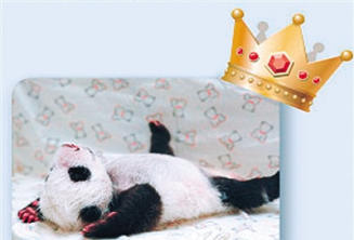 �_������@ӭ�ٚq ����؈���A�С��ɰ����˚���