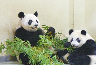 �A�п����~�Ԅ�����Ęʽ���Է� ߅��߅��Ę