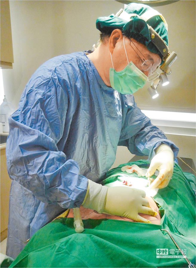 �_(t��i)��70�q�ϋD��18�f(w��n)¡�أ������ٱ�Ц���̸����D��