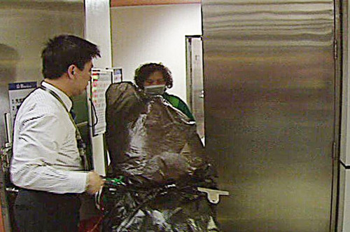 ���ӵ��F��]�����������������ȱ����x����