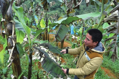 ��Ҋ�����²��ֵ؅^(q��)�ܞ�(z��i) �߲ˇ�����Һ�Ա�����