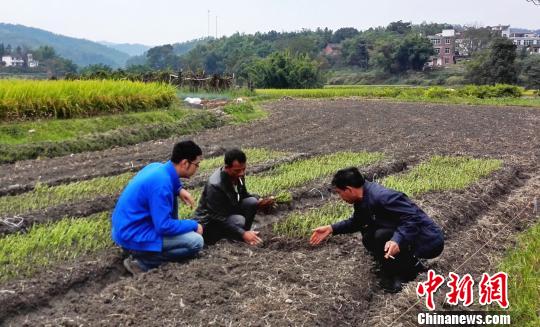 ���벿ί�نT�����l(xi��ng)�����h֧����һ��ӛ���M�Ϸ�ؚ��(j��ng)