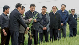 ����ƽ����С�������؜��Ї��ĸ�v��