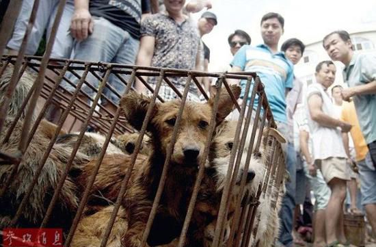 ��ý�۽��Ї�(gu��)�l(xi��ng)�g���¶�������(ch��ng)��Ѫ�Ȳ���ֱҕ