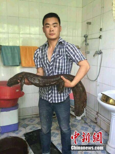 ���C��جF���͡������~�� ���g��80���q(�D)