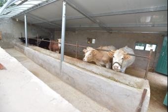 ������ӛ��ԭ�С����ߺ��µ��L��·