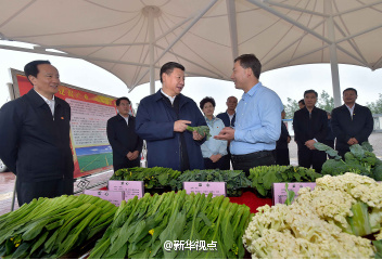 ������ӛ��ԭ�С����ߺ��µ��L��·