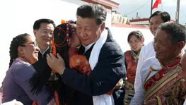 ����ƽ�����ຣ����x���@�ɂ����f��