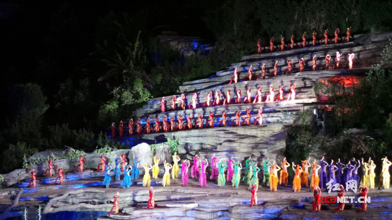 ���W(w��ng)�j(lu��)ý�w���D(zhu��n)�ġ��n���ο��c(di��n)ٝ�����T���ɡ��������ԡ�