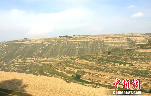 ��·���Ե����������¾W(w��ng) �N�� �z