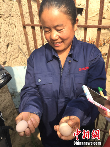 �߿�ϼչʾ�u�������¾W(w��ng) �N�� �z