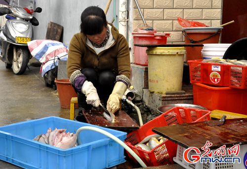 ���W�jý�w���D�ġ��ϝO���v�¹���:�ġ�����Ư�������ϰ�����