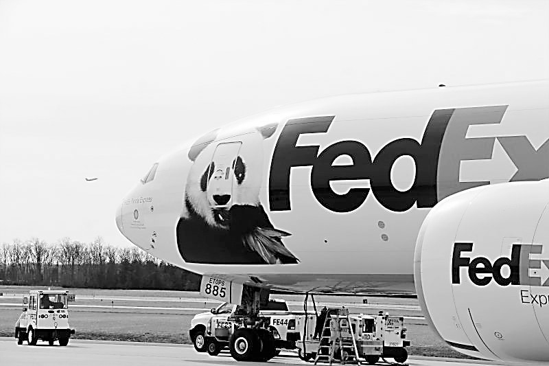 “寶寶”乘坐的聯(lián)邦快遞專機。