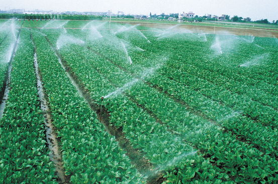 【砥礪奮進(jìn)的五年】四川德陽(yáng)市旌陽(yáng)區(qū)脫貧攻堅(jiān) 小康路上“一個(gè)都不能少” 【砥礪奮進(jìn)的五年】四川德陽(yáng)市旌陽(yáng)區(qū)脫貧攻堅(jiān) 小康路上“一個(gè)都不能少”