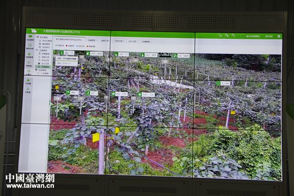 ���ƵZ�^�M(j��n)�����ꡤ�۽���(sh��)��(j��)���F�����ģ��ǻ۴�(sh��)��(j��)�����a(ch��n)�I(y��)����(zh��n)��