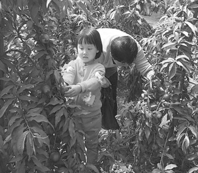 ɽ�����_�hꖰ״壺��á�ѭ�h(hu��n)��(j��ng)�� Óؚ�ɘ�(bi��o)�U