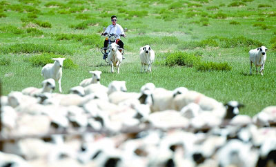 轉型發展,向無限風光奔騰而去 轉型發展,向無限風光奔騰而去