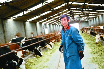 ���I�������̡����IȺ����Ɍ��� �������^�üt�t���