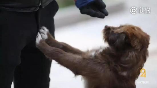 ���x����F(xi��n)���@��