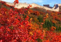 �����F�� ����w�� ���c���͵������ӑc-�L���F��