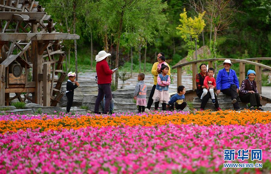 (新華全媒頭條·走向我們的小康生活·決戰(zhàn)決勝脫貧攻堅(jiān)·圖文互動(dòng))(8)脫貧的顏色