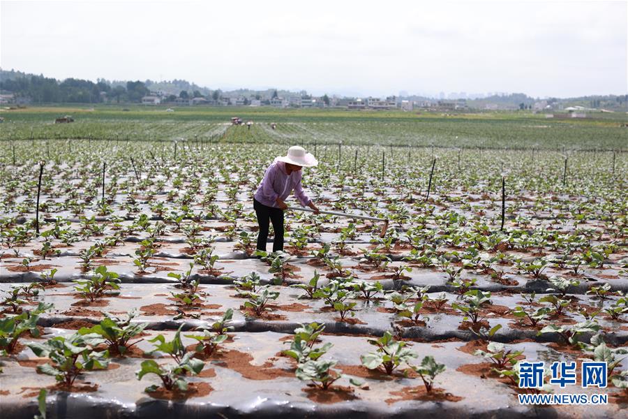 �����Aȫý�^�l�������҂���С������Q��Q��Óؚ���ԡ��D�Ļ��ӣ���3��ǧ��֮�ʽ񳯽⡪���F��ؚ��Ⱥ�����F����ˮ���