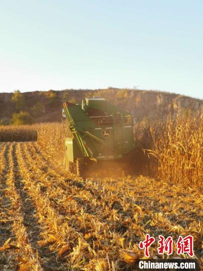 �����P�I�ں�����1.7�|Ԫ���b�ի@�C�����w���w�}��