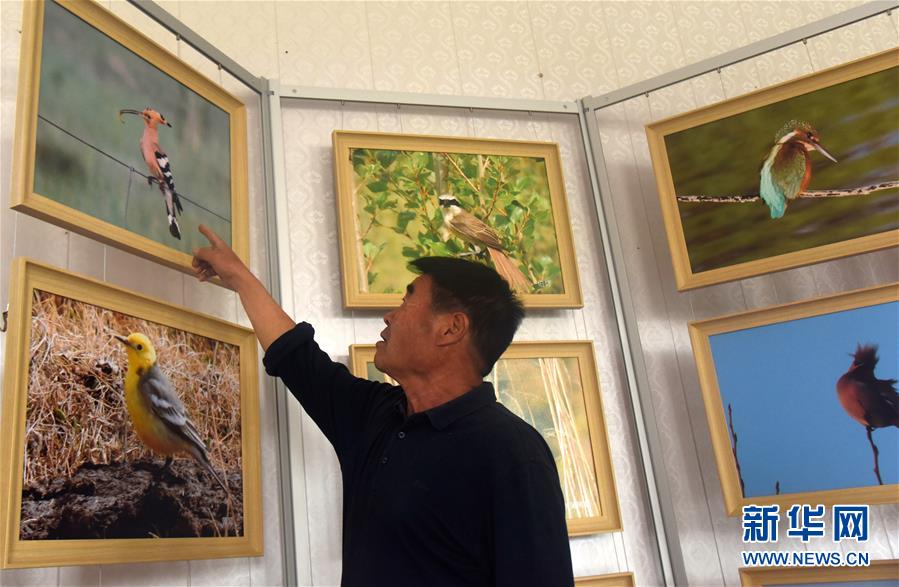 ���^������·�����������̡�����һ���¡��@���ߡ��D�Ļ��ӣ���5������ԭ֮�ӡ�͢�����ؠ���׌��ԭ�G����������������