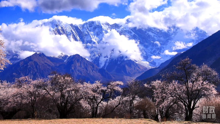 �r(sh��)������ح����(sh��)ӛ����֮�У��@Щ��(x��)��(ji��)ӳ������