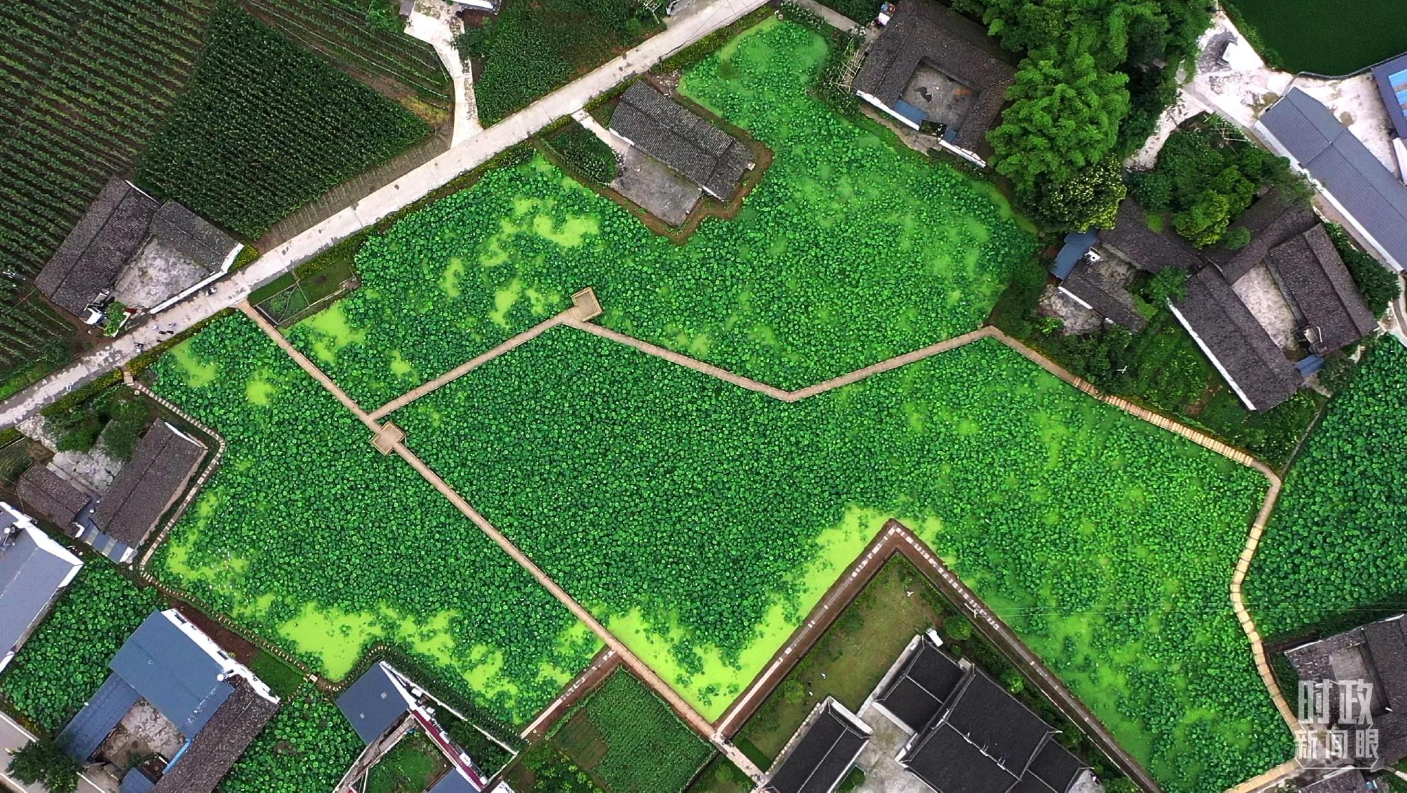 ��������S�塣�����_(t��i)ӛ���R���Ĕz��