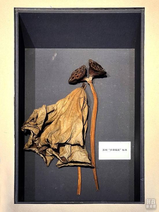 �����K���(n��i)�����ֵ�ͬ�ĵġ�������ɏ���������_(t��i)��ҕӛ�ߗ������Ĕz��