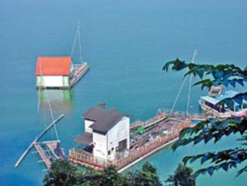 ����̶���ݽ����������ӣ������^��ˮ���������ɘO�����_���DƬ��Դ���_�����Ї��r��