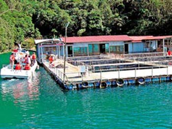 ����̶���ݽ����������ӣ������^��ˮ���������ɘO�����_���DƬ��Դ���_�����Ї��r��